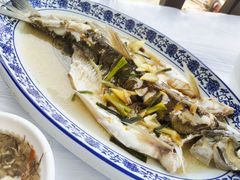 清蒸白水鱼-洞天食府(北大街店)