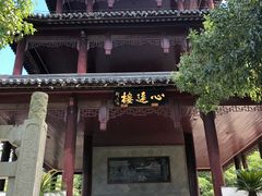 -白马涧龙池景区