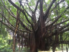 -金山公园