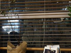 -COTTON CAFE(德信·中外公寓店)