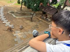 -大连森林动物园