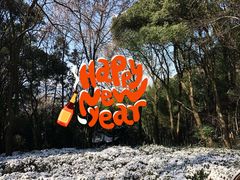 -灵岩山风景区