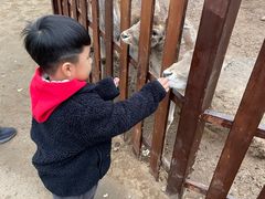 -西安秦岭野生动物园
