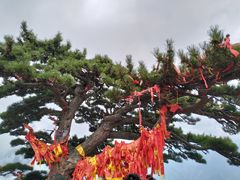 -华山风景名胜区