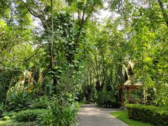 -中国科学院西双版纳热带植物园