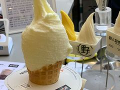 -野人先生现做冰淇淋(北京悠唐购物中心店)