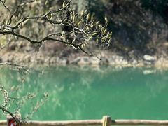 -铜锣山矿山公园
