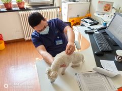 -北京观赏动物医院·24小时大型综合·猫专科·异宠专科