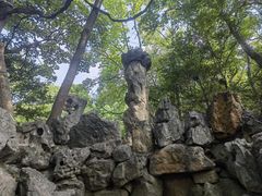 -绮园景区