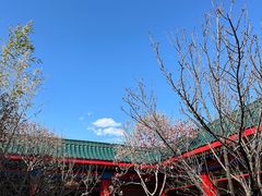 -北京益泉花园酒店