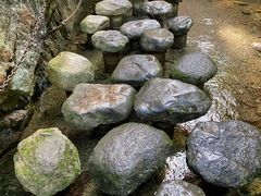 -牛背梁国家森林公园