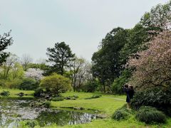 -杭州植物园