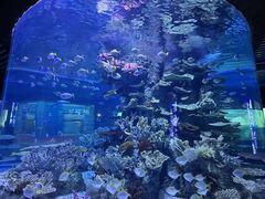 -左海海底世界