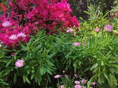 -人民公园(罗湖区)