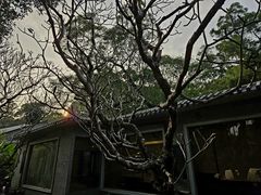 -广州兰圃
