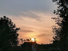 -花博汇(知音花月夜)