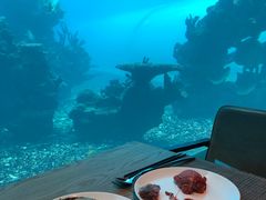 -海棠湾洲际-涛·海底餐厅·美人鱼·自助餐·海底隧道