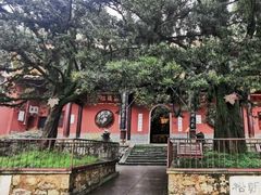 -岳麓山风景名胜区