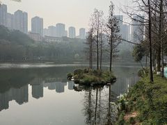 -重庆彩云湖湿地公园