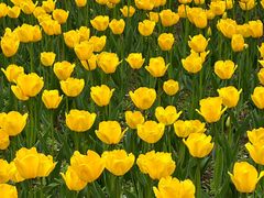 -长春公园(普阳街道)