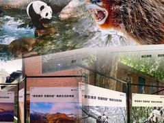 -西安电影制片厂