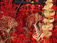 -龙大花卉苗木市场