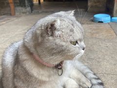 -老屋咖啡