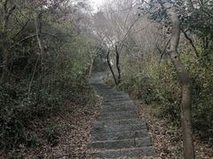 -龙坞茶村