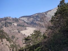 -朱雀国家森林公园