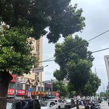 人均二十，68元送五个菜的土地锅鸡！