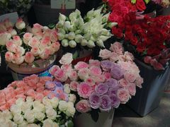 -循礼门鲜花花市(武汉循礼门店)