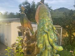 -丽泽山庄·生态怀柔菜·虹鳟鱼(红螺寺店)