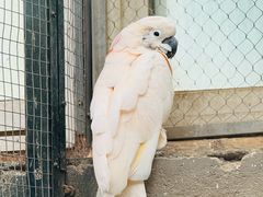 -大连森林动物园