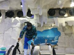 -华夏文旅海洋公园