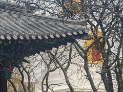 -护国法轮寺