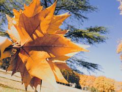 -河南省黄河迎宾馆