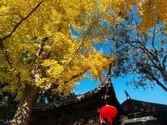 -虞山风景区