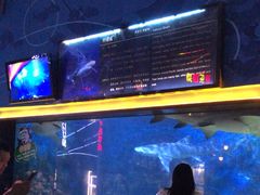 -烟台海昌鲸鲨海洋公园