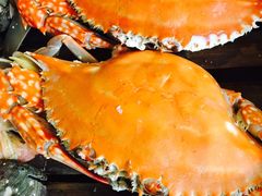 -大锅强·蒸海鲜青岛菜(吾悦广场店)