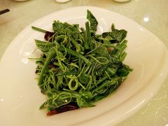 炝拌丝瓜尖-玉华宫宾馆·餐厅(铜川驻京办店)