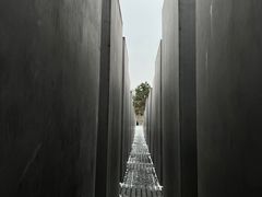 -欧洲被害犹太人纪念碑