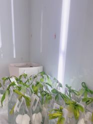 -SKIN79皮肤管理中心