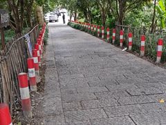 -杭州半山国家森林公园