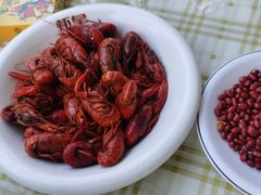 -虾皇(龙虾城旗舰店)