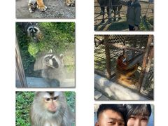 -哈尔滨北方森林动物园