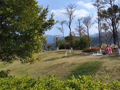 -广州市流溪河国家森林公园