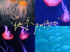 -香港海洋公园
