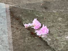 -东南大学(九龙湖校区)