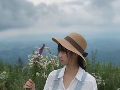 -齐岳山