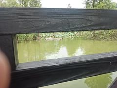 -海珠湖公园